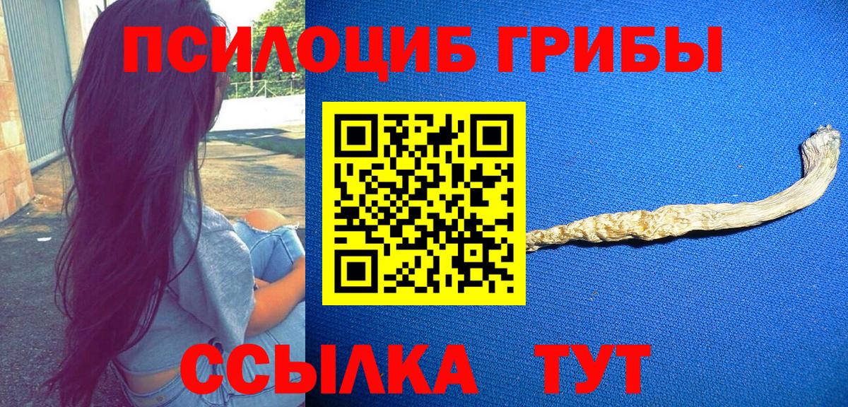 Сатка  Галлюциногенные грибы Psilocybe  дарнет шоп  Вход с VPN 